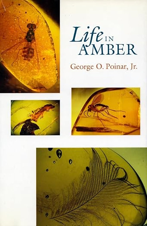 Life in amber